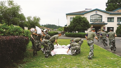 p2_b.jpg